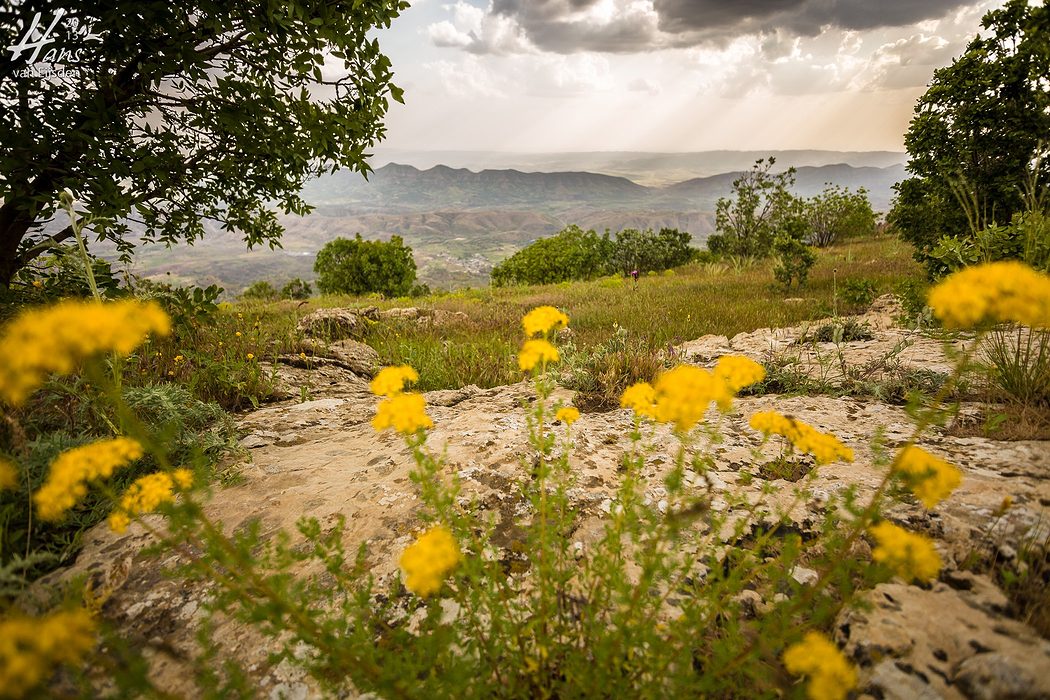 Iraqi Kurdistan (HvE-20130514-0292)