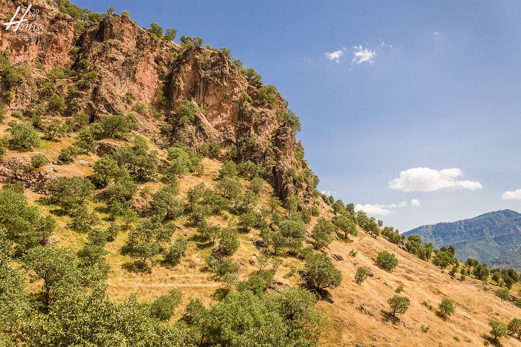 Iraqi Kurdistan (HvE-20130518-1063)