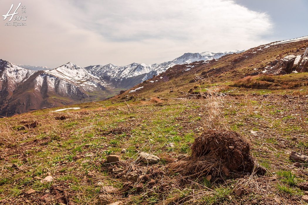 Halgort Mountains (HvE-20140402-8288)