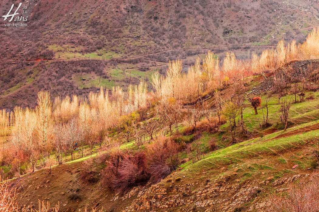 Halgort Mountains (HvE-20140402-8586)